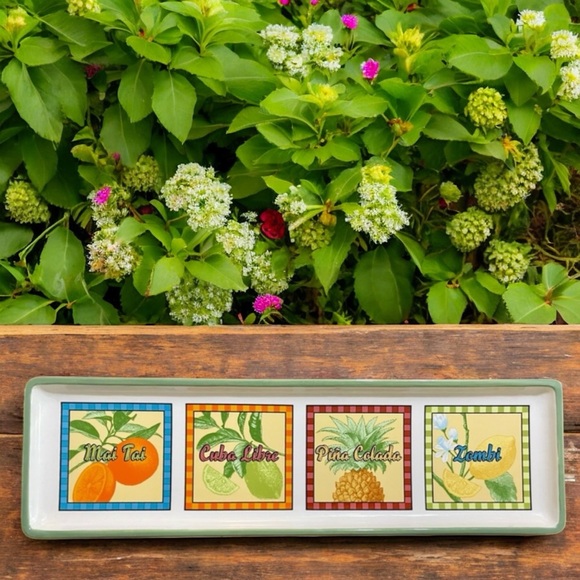 Signature Housewares Stoneware Platter with Tropical Drinks by Rivierra Van Beer - Picture 5 of 14